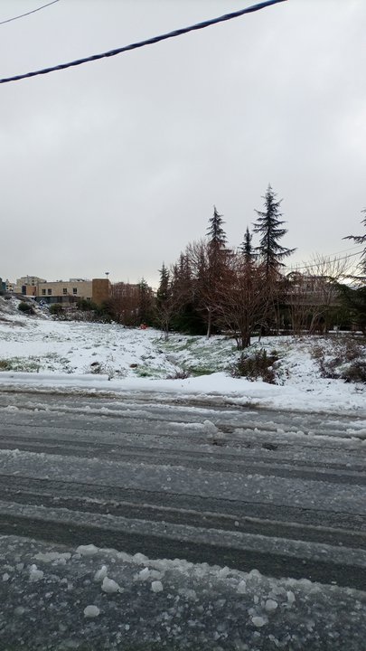 مشاركاتي في أنت الراصد