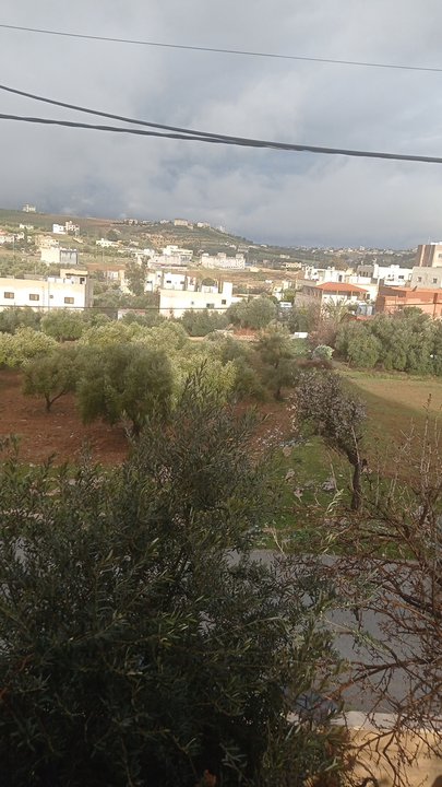 مشاركاتي في أنت الراصد