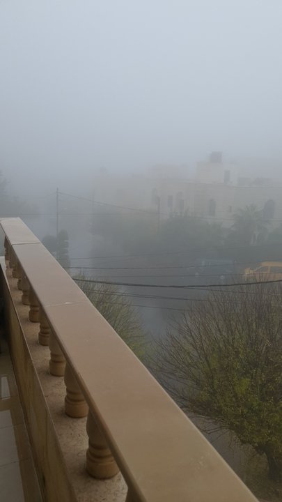 مشاركاتي في أنت الراصد