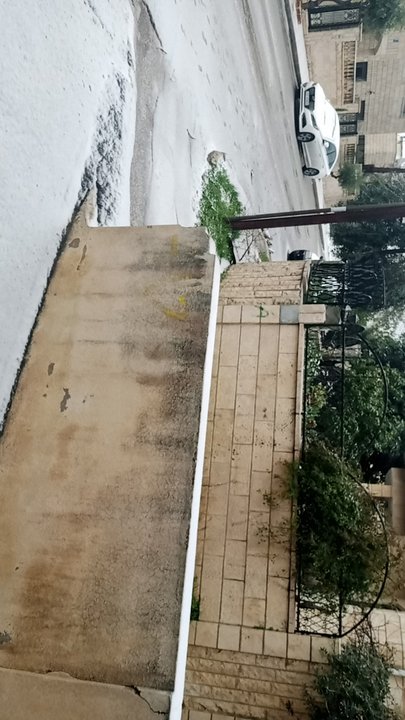 مشاركاتي في أنت الراصد