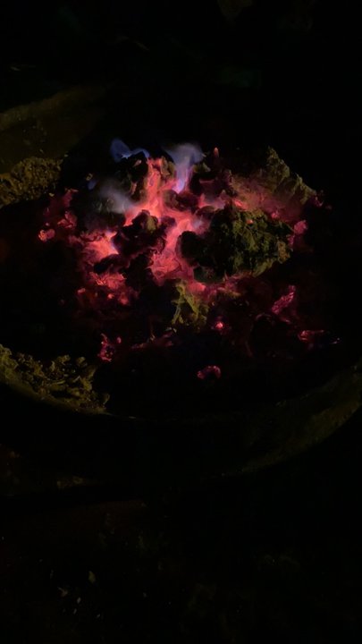 مشاركاتي في أنت الراصد