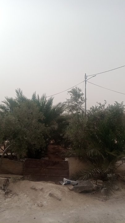 مشاركاتي في أنت الراصد