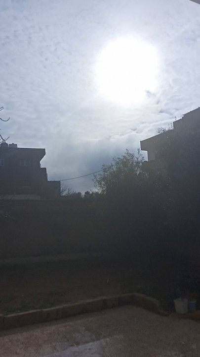 مشاركاتي في أنت الراصد