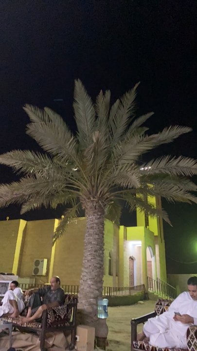 مشاركاتي في أنت الراصد