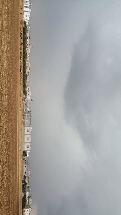 مشاركاتي في أنت الراصد