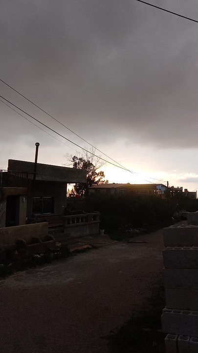 مشاركاتي في أنت الراصد