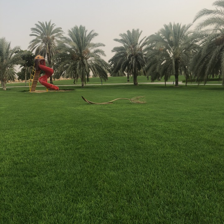 My Crowdsourcing Posts