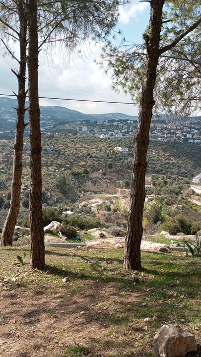 مشاركاتي في أنت الراصد