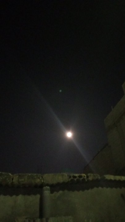 مشاركاتي في أنت الراصد