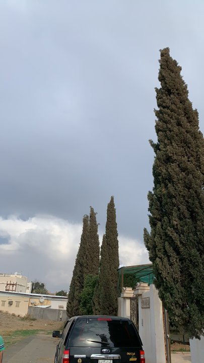 مشاركاتي في أنت الراصد