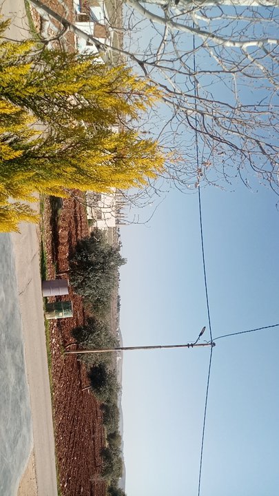 مشاركاتي في أنت الراصد