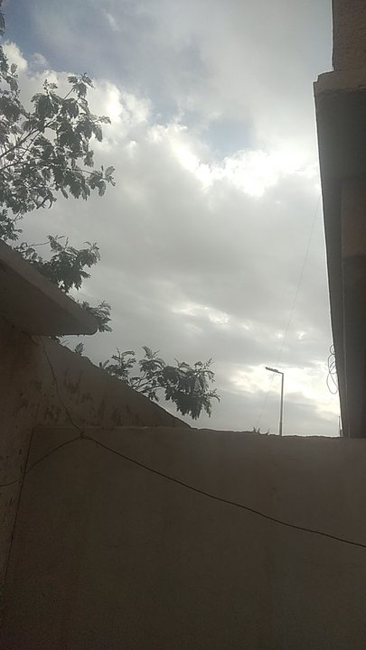 Mes publications Crowdsourcing