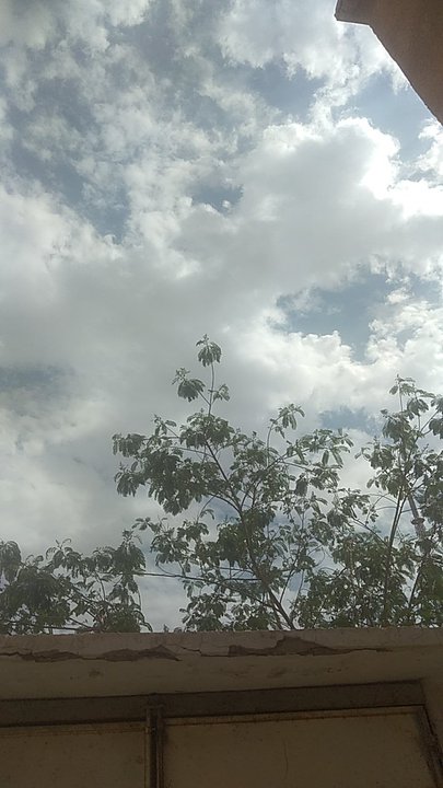 Mes publications Crowdsourcing