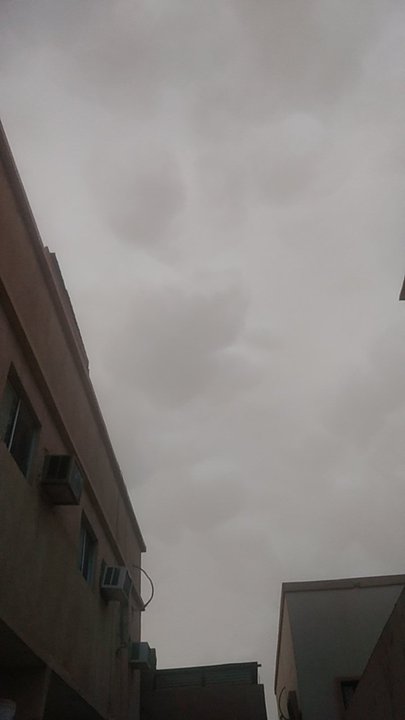 Mes publications Crowdsourcing