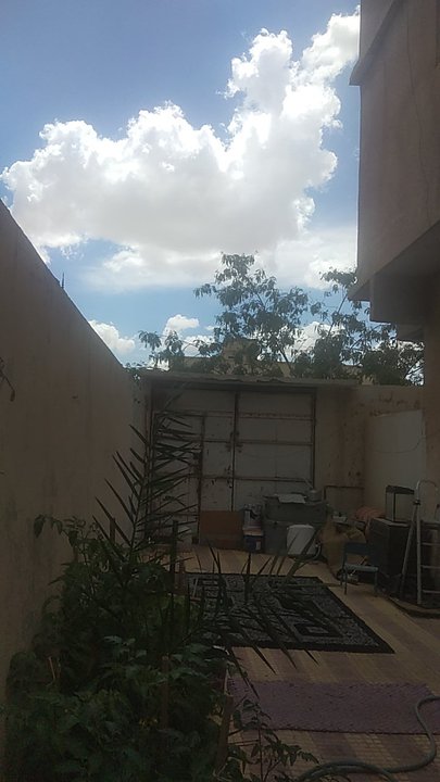 Mes publications Crowdsourcing