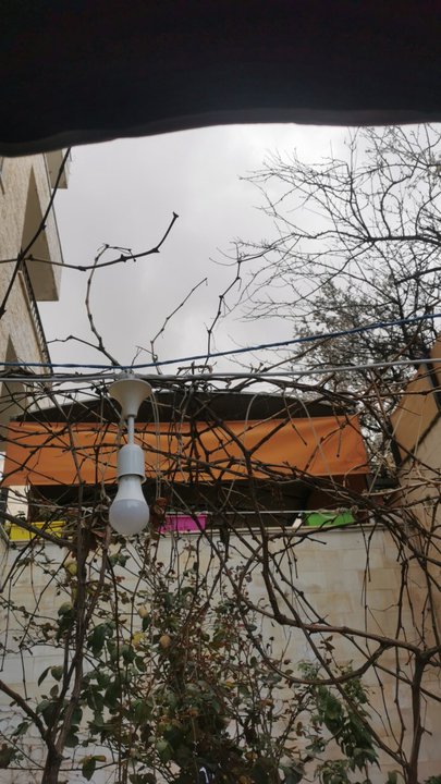 مشاركاتي في أنت الراصد