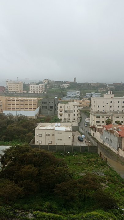 Mes publications Crowdsourcing