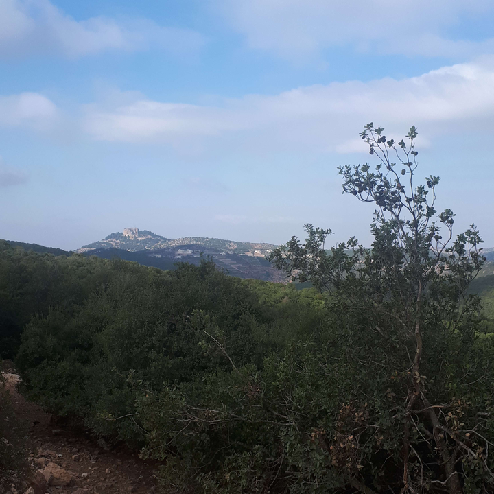 My Crowdsourcing Posts