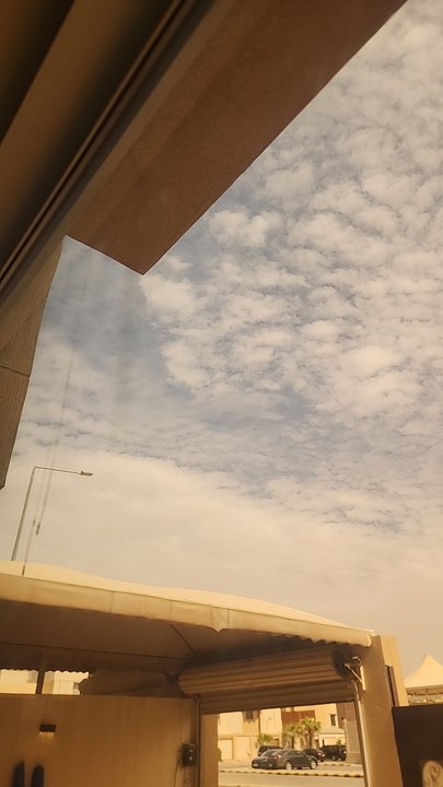مشاركاتي في أنت الراصد