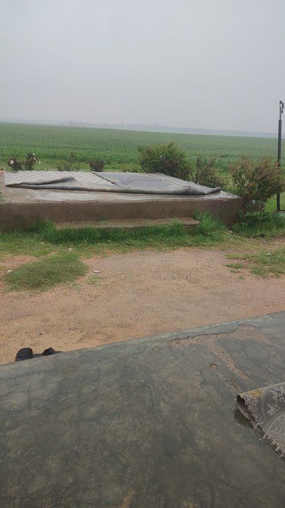 Mes publications Crowdsourcing