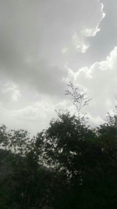 مشاركاتي في أنت الراصد