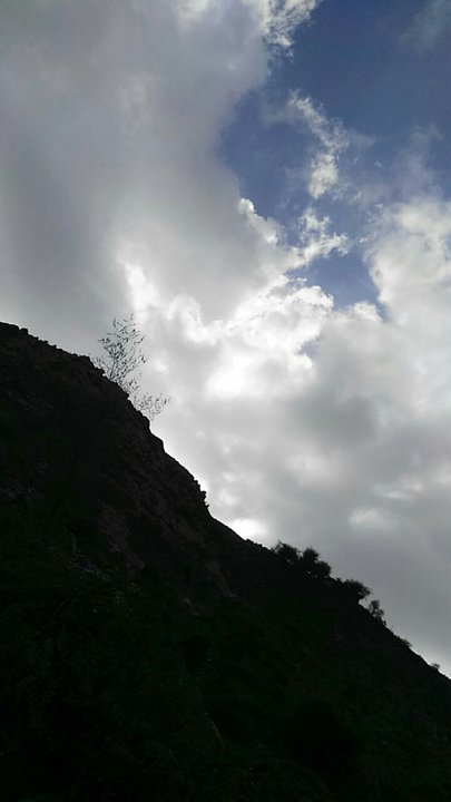 مشاركاتي في أنت الراصد