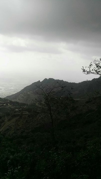 مشاركاتي في أنت الراصد