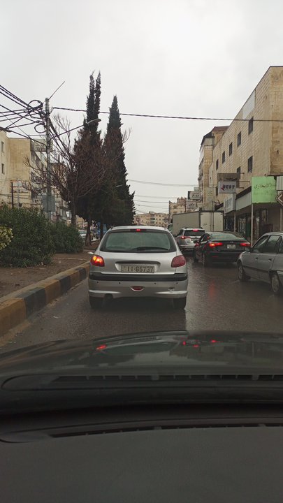 مشاركاتي في أنت الراصد