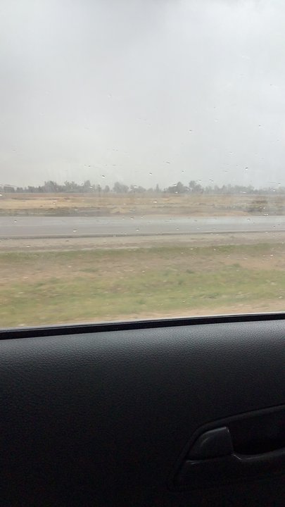 مشاركاتي في أنت الراصد