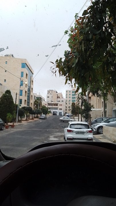 مشاركاتي في أنت الراصد