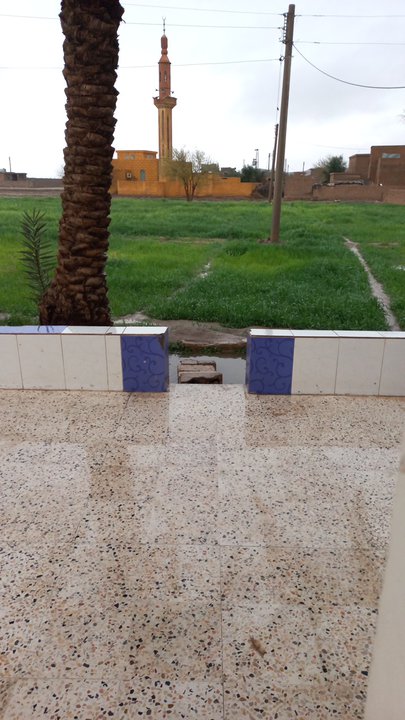 مشاركاتي في أنت الراصد