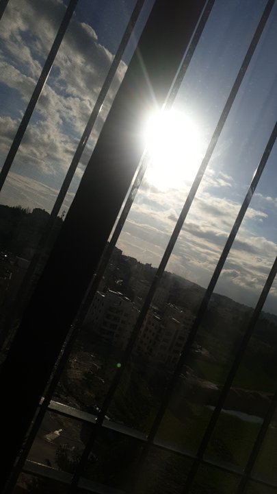 مشاركاتي في أنت الراصد