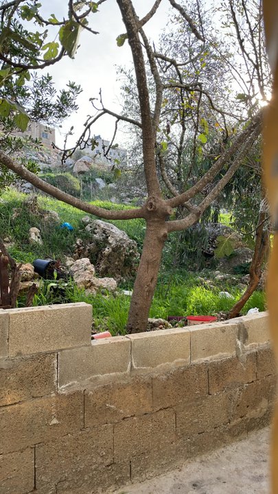 Mes publications Crowdsourcing