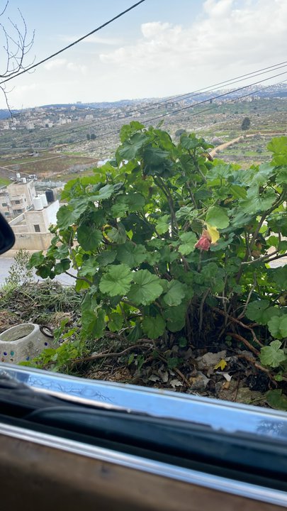 Mes publications Crowdsourcing