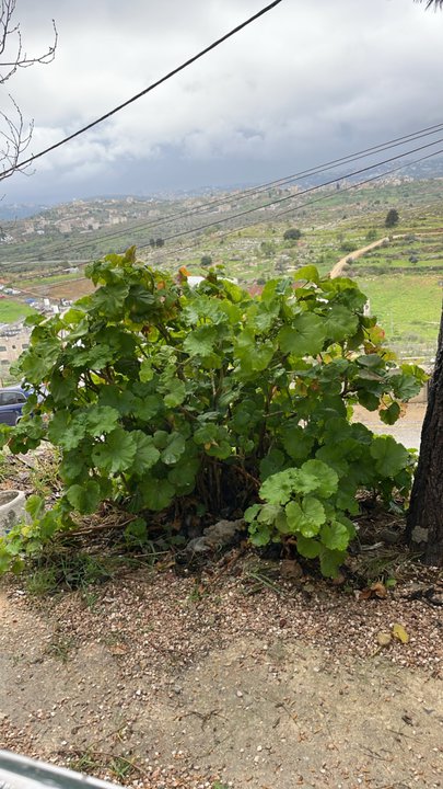 Mes publications Crowdsourcing