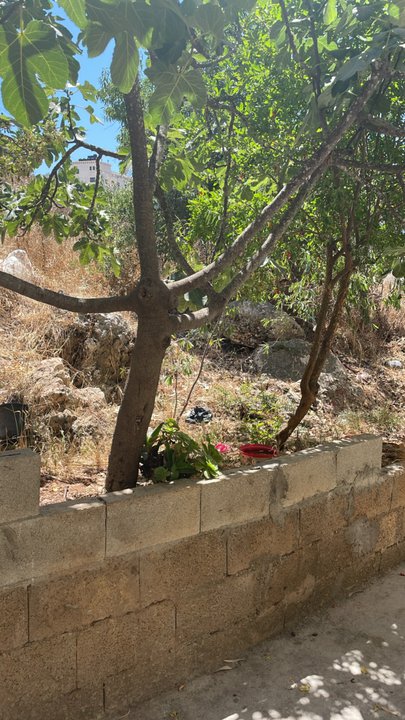 My Crowdsourcing Posts