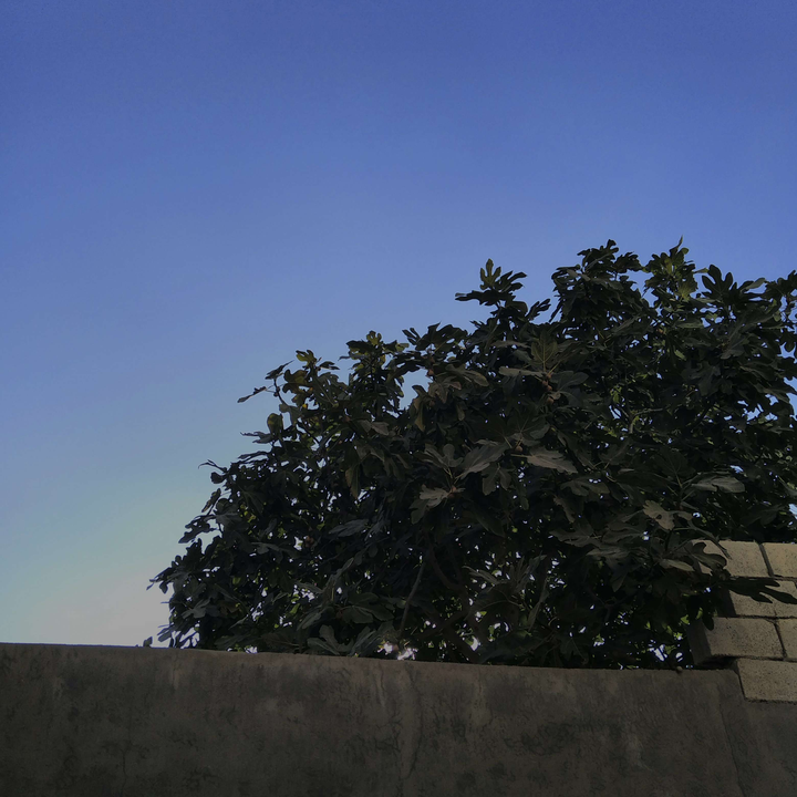 My Crowdsourcing Posts