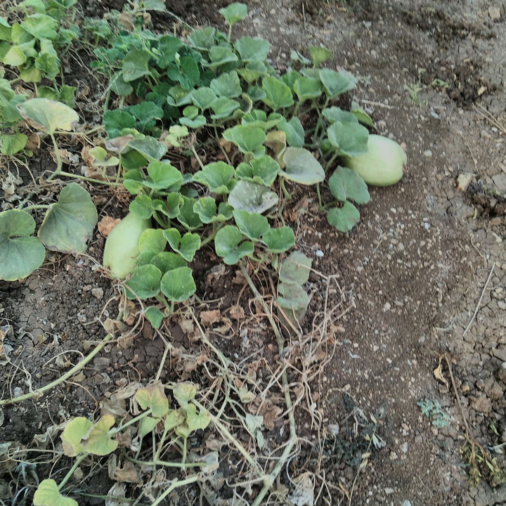 My Crowdsourcing Posts