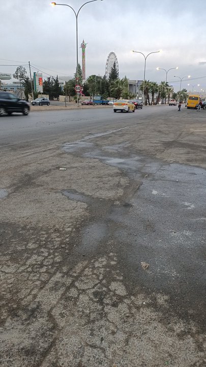 مشاركاتي في أنت الراصد