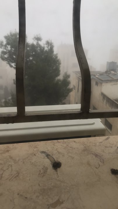 مشاركاتي في أنت الراصد