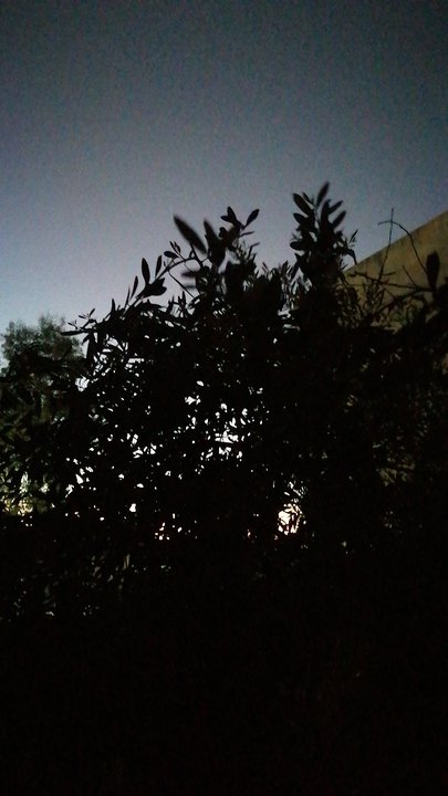 My Crowdsourcing Posts