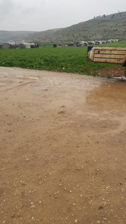 مشاركاتي في أنت الراصد