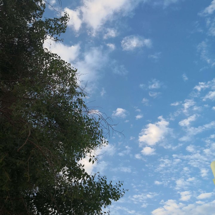 My Crowdsourcing Posts