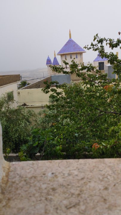 مشاركاتي في أنت الراصد