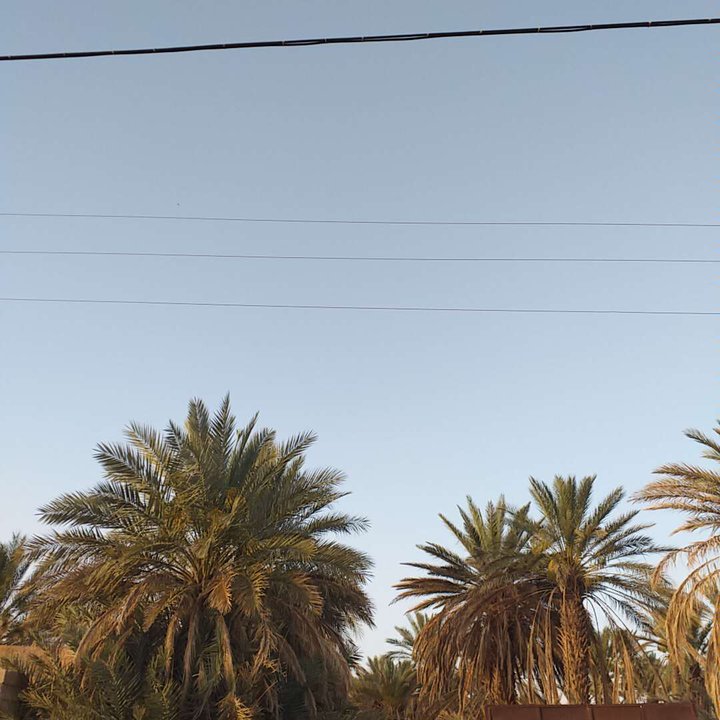 My Crowdsourcing Posts