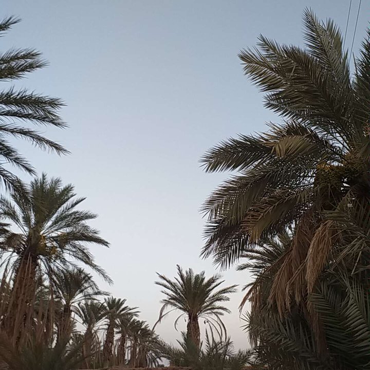 My Crowdsourcing Posts