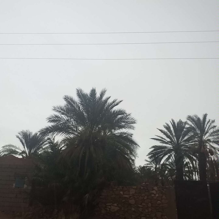 My Crowdsourcing Posts