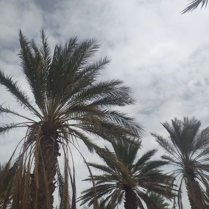 My Crowdsourcing Posts