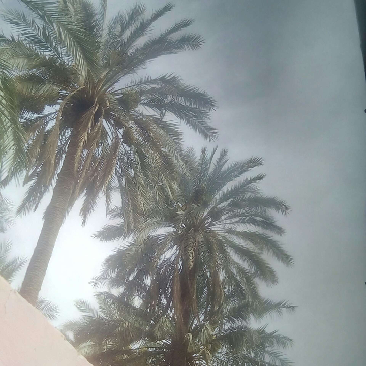 My Crowdsourcing Posts