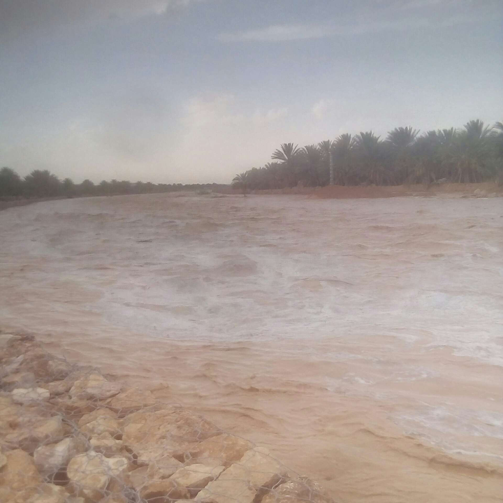 My Crowdsourcing Posts